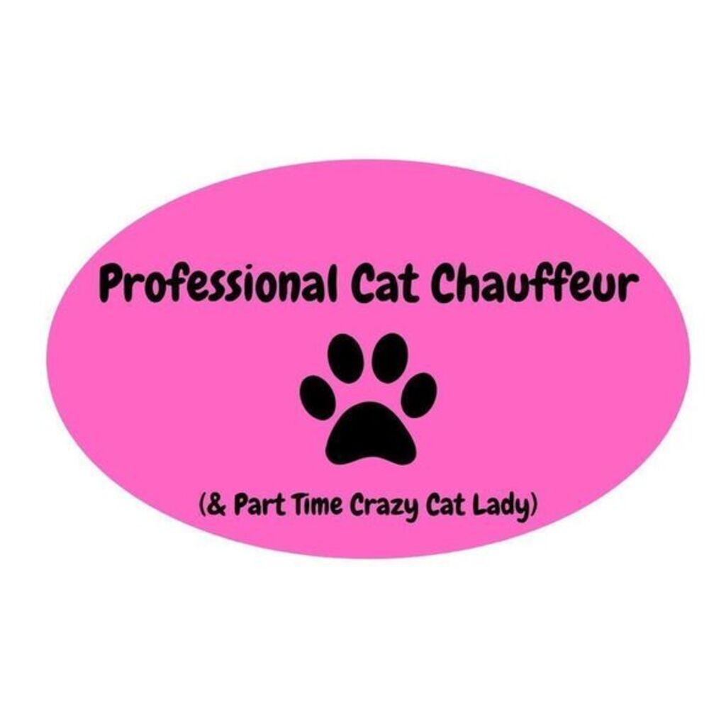 Crazy‎ Cat Lady Funny Magnet Pink Black NEW